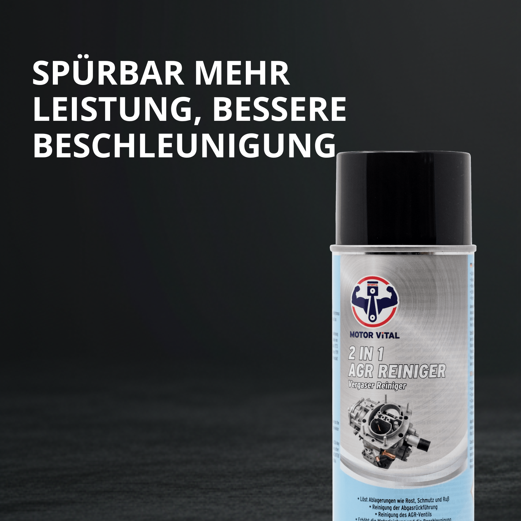 MOTOR VITAL AGR 2-in-1 Vergaser Reiniger