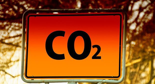 Autohersteller Streichung der CO2-Grenzen