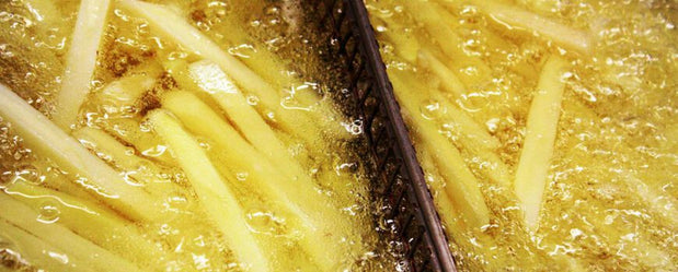 Diesel aus Frittieröl – eine umweltfreundliche Alternative